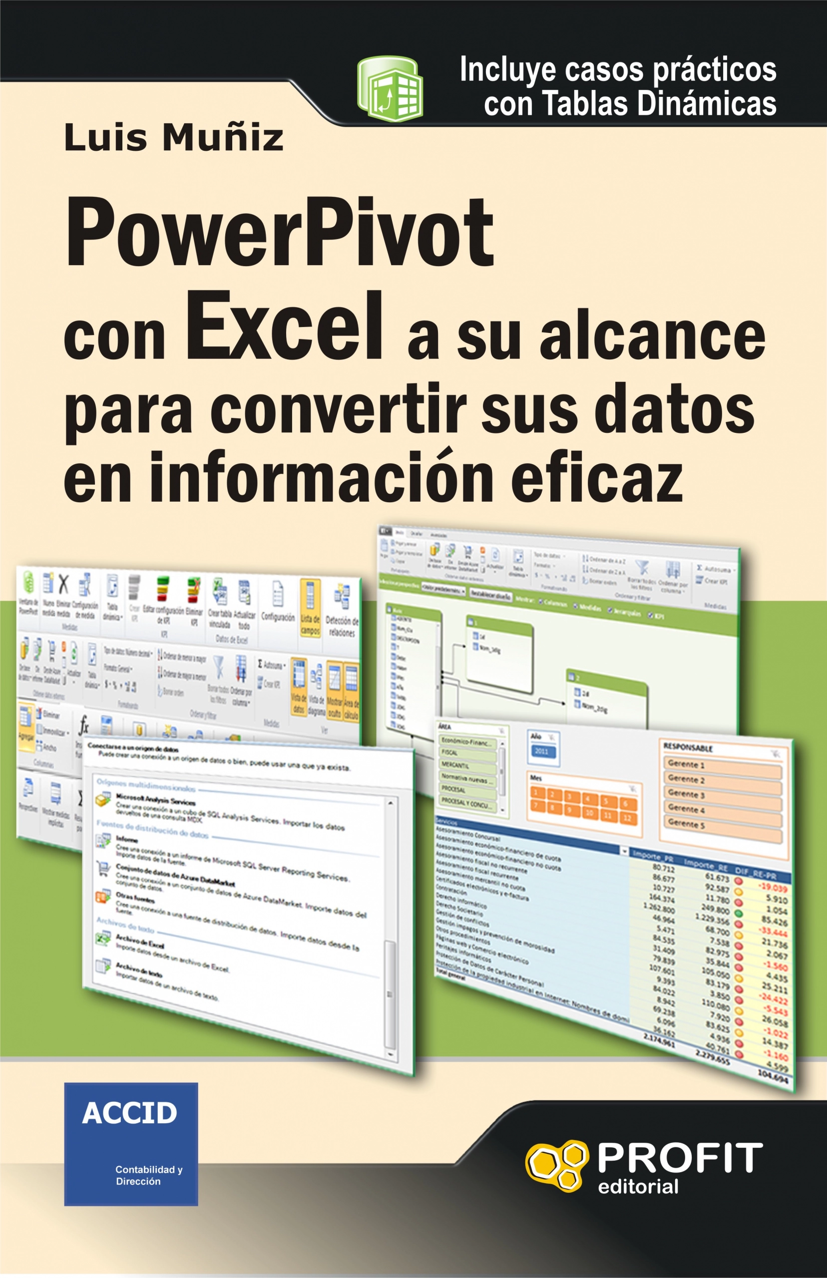 Powerpivot con Excel a su alcance para convertir sus datos en información eficaz | Luís Muñiz | Libros de empresa y negocios