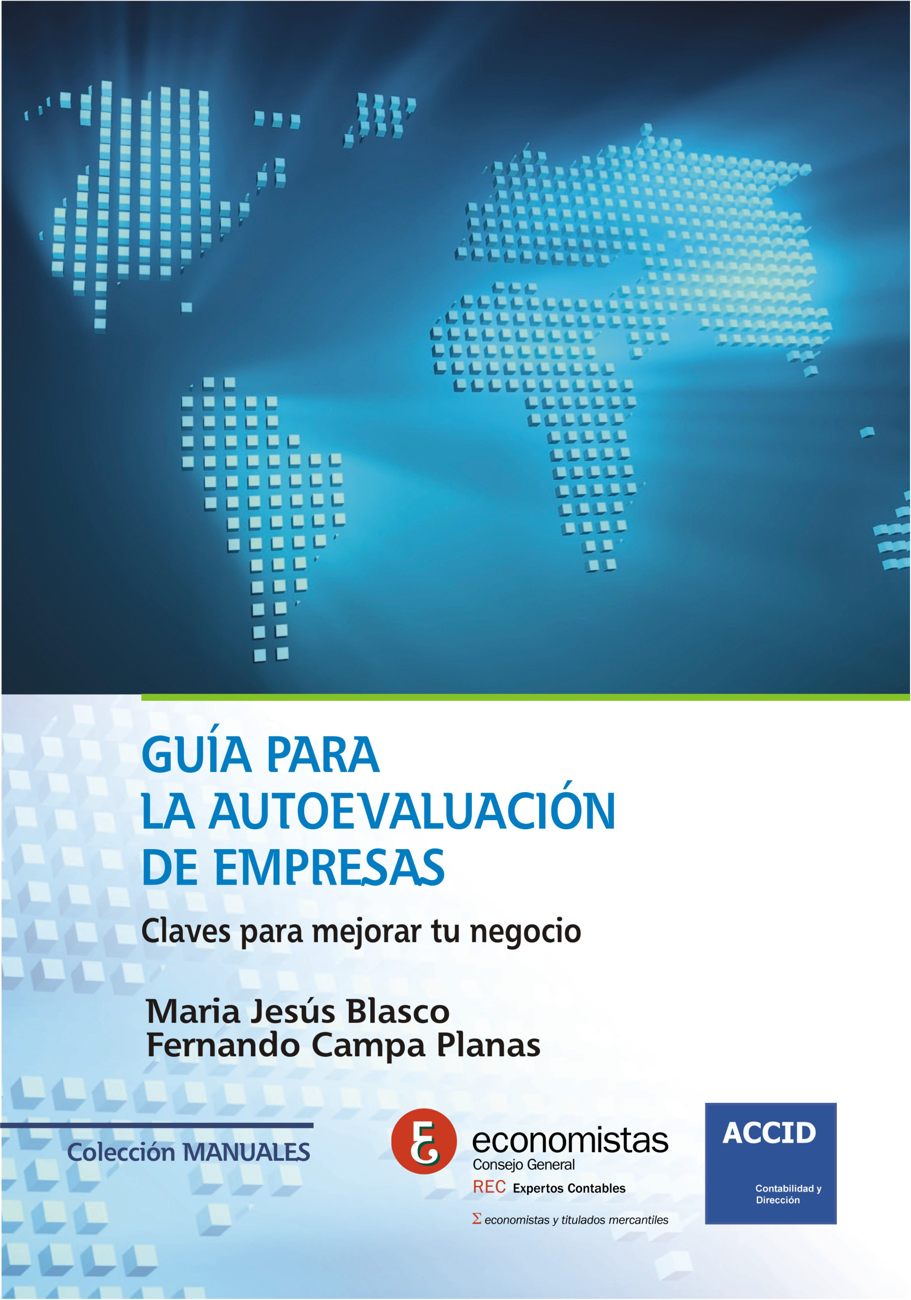 Guía para la autoevaluación de empresas | Fernando Campa Planas | Libros de empresa y negocios