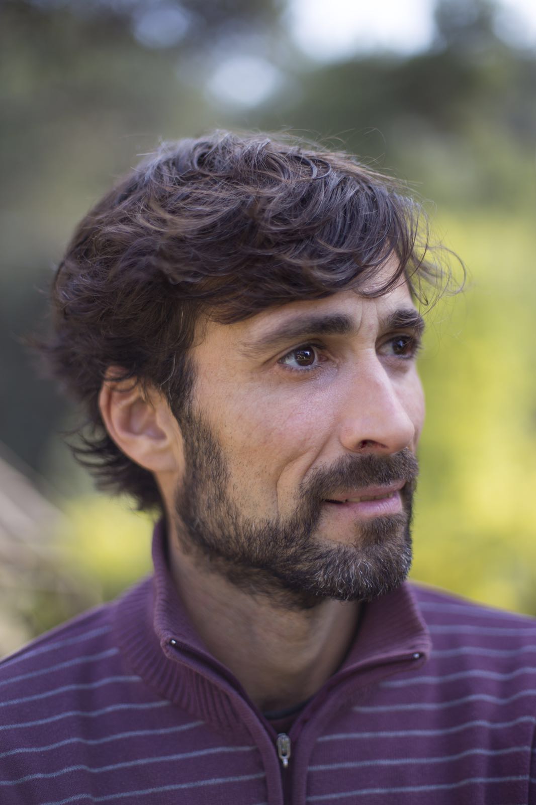 Author avatar