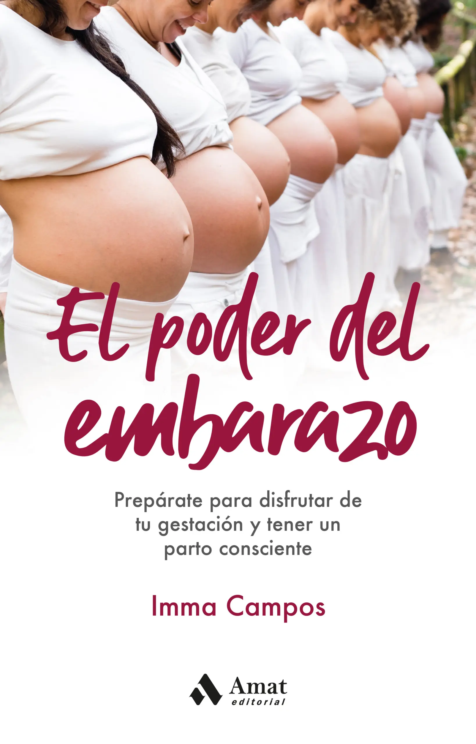  El libro del embarazo: Guía práctica desde la concepción hasta  el posparto (Spanish Edition) eBook : Vinacur, Jorge Conde, USERS, USERS  Life: Tienda Kindle